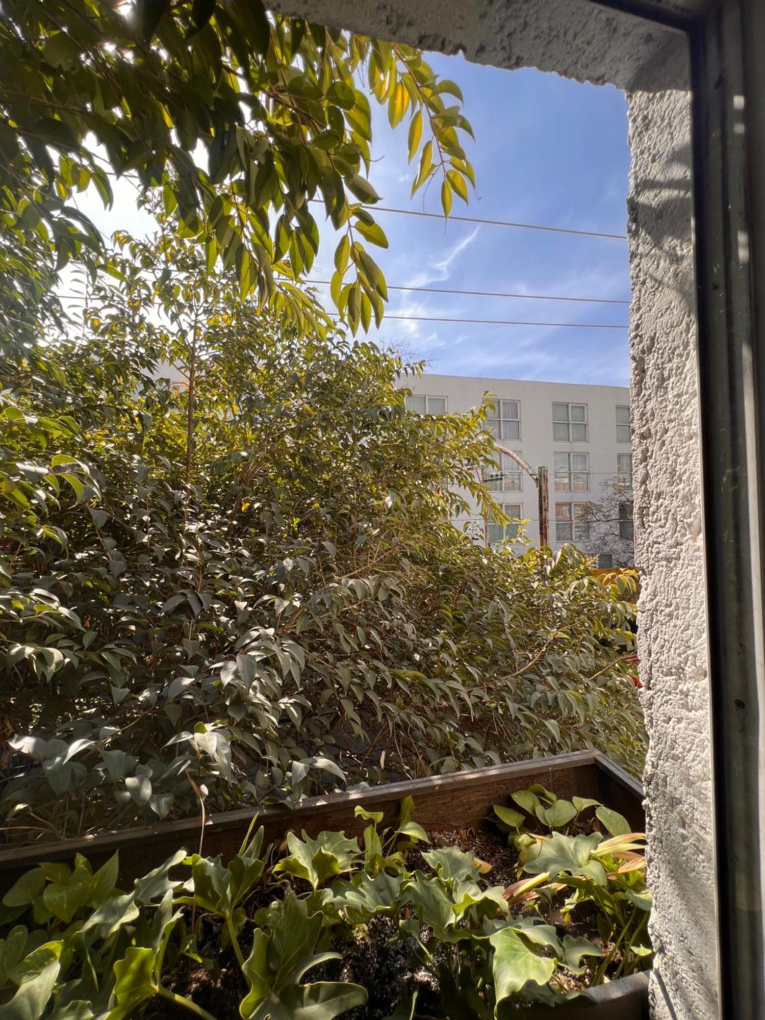 Aparthotel Sanrafa Polanco Ii *